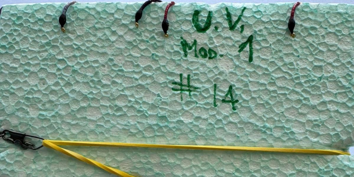 MONTATURA 10 AMI DEL 14 - UV N. 1 - CLARET, PURPLE E LILLA