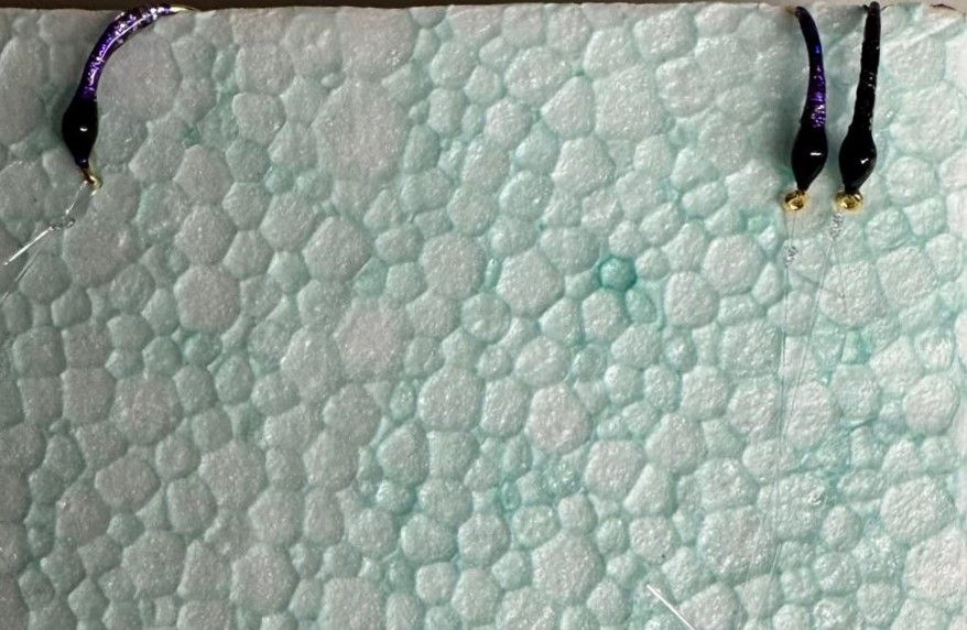 MONTATURA 10 AMI CON AMO DEL 14 - HOLOGRAFIC #3