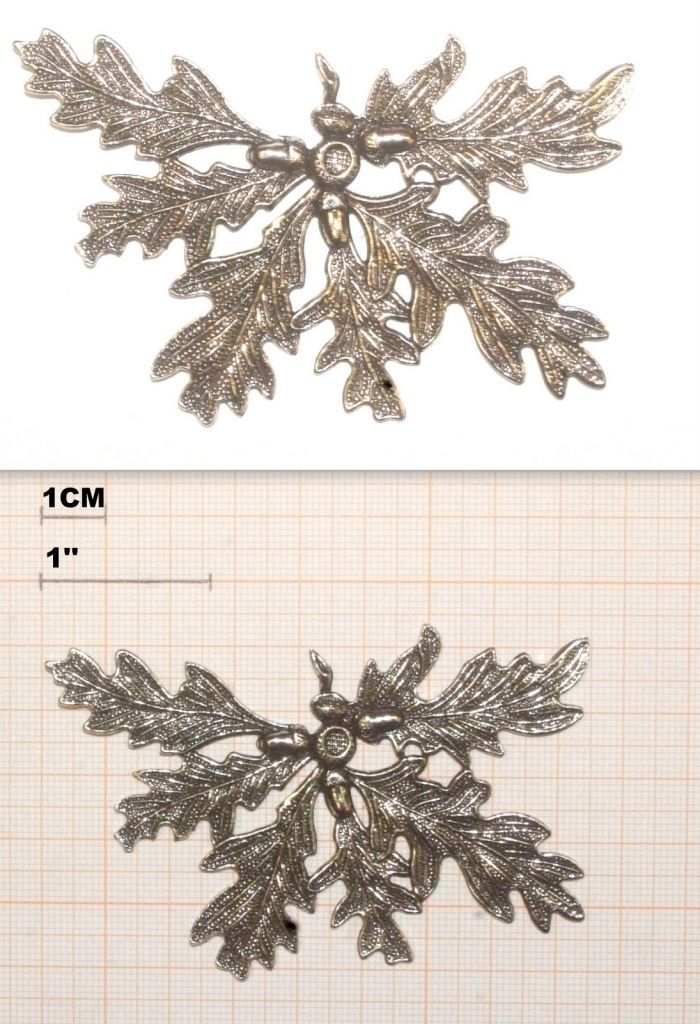 FRONDE ARGENTATE PER ZANNE CINGHIALE