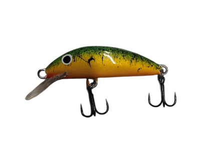 REAL WINNER EVOLUTION - AFFONDANTE 5 CM - FT