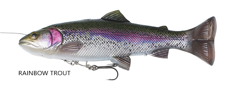 4D LINE THRU PULSE TAIL TROUT 16CM RAINBOW TROUT