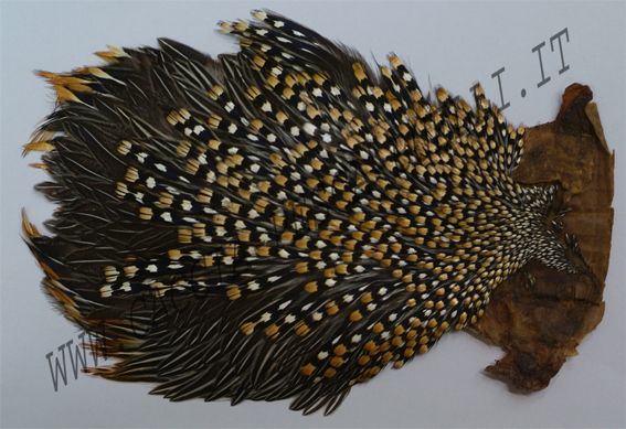 VENIARD JUNGLE COCK GRANDE