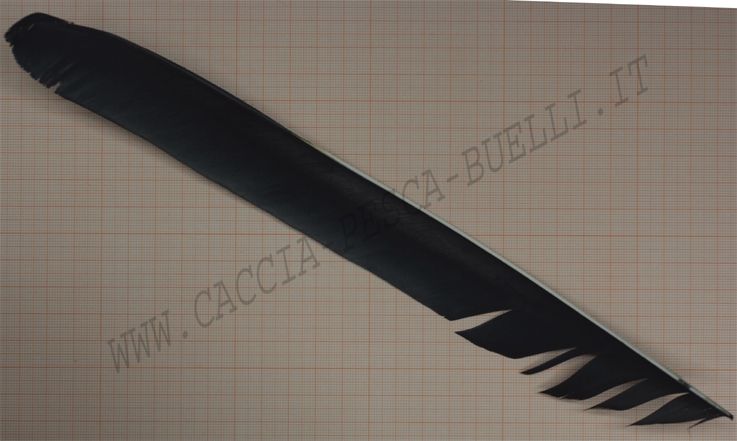 GATAWEY FEATHERS PIUME ARCERIA FULL JET BLACK
