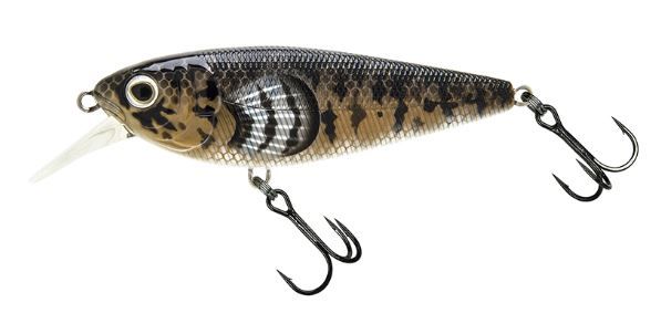 MOLIX BRUGAS R - #225 GHIOZZO