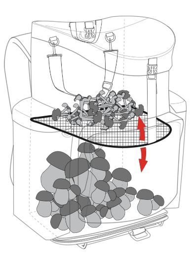 MARSUPIO ZAINO FUNGHI FOREST 50 PRO