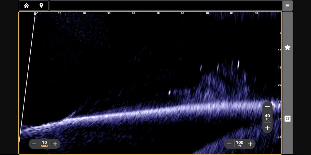 TRASDUTTORE MEGA LIVE 2 HUMMINBIRD