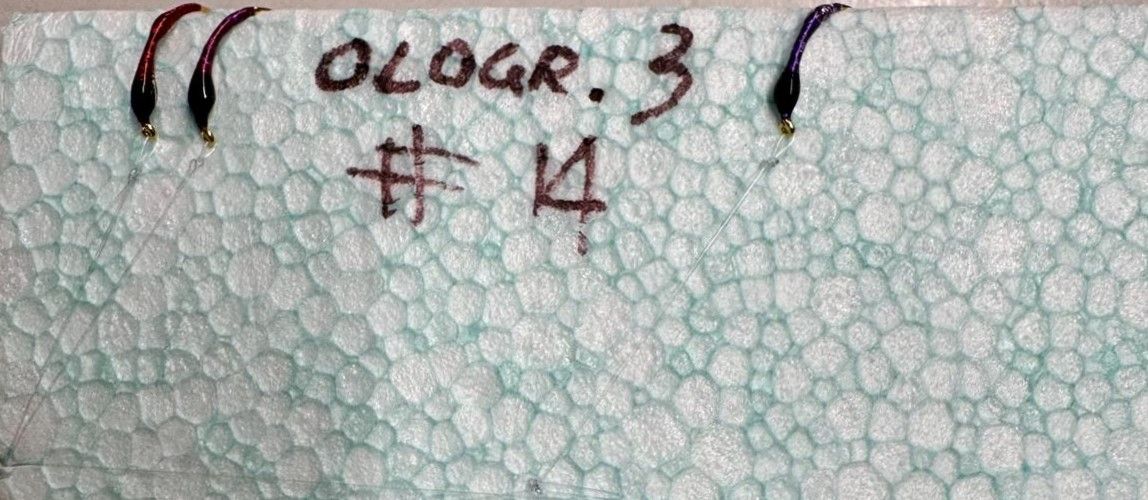 MONTATURA 10 AMI CON AMO DEL 14 - HOLOGRAFIC #3