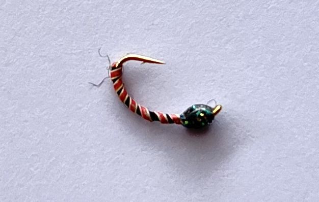 AMO COREGONE #16 - ARANCIO/NERO CN24