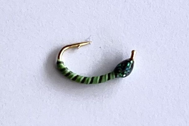 AMO COREGONE #14 - VERDE CN25