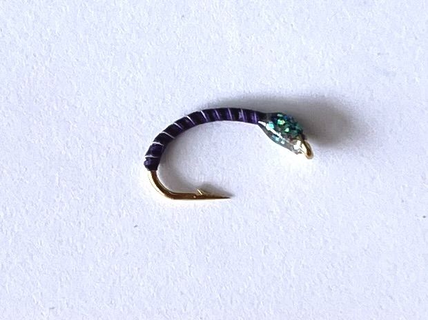 AMO COREGONE #16 - VIOLA CN26