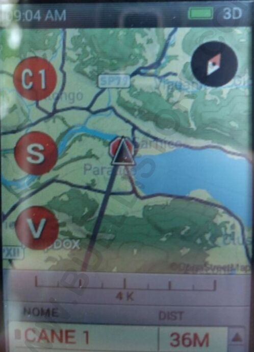 MAPPA CARTOGRAFICA ALTO DETTAGLIO TEK 2.0 SPORTDOG - MAPPA ITALIA