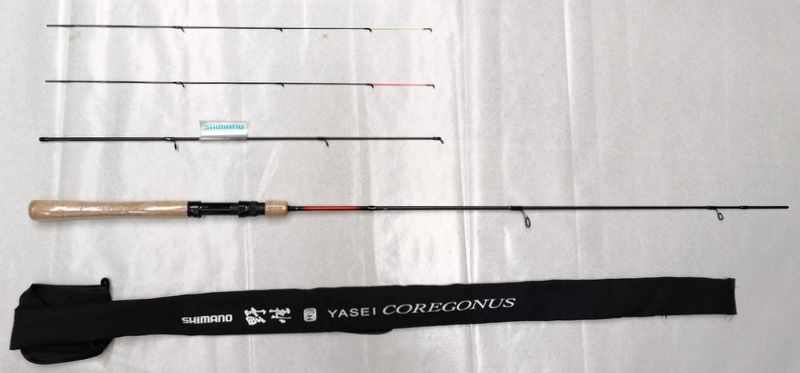 SHIMANO YASEI COREGONUS 210 2 PEZZI + 2 CIMINI