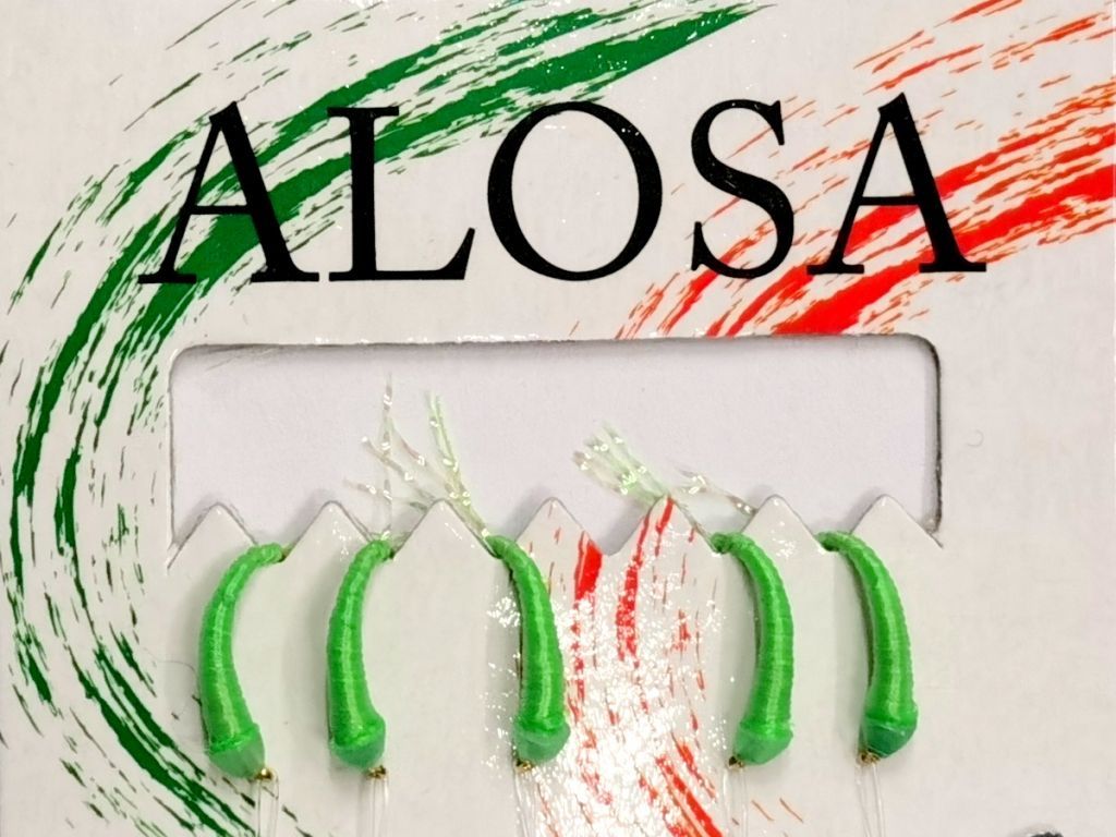 alosa amettiere pesca agone 
