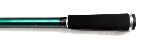 ABU GARCIA BEAST X PIKE CASTING ROD