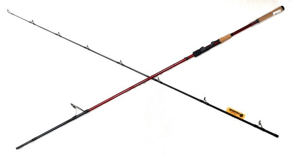 SPORTEX PHENOMEN
