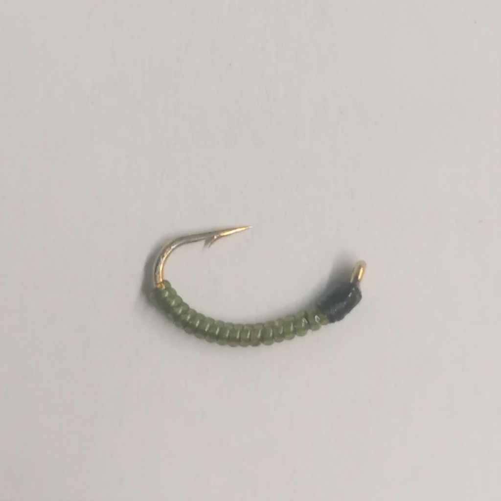 AMI COREGONE #14 - VERDE