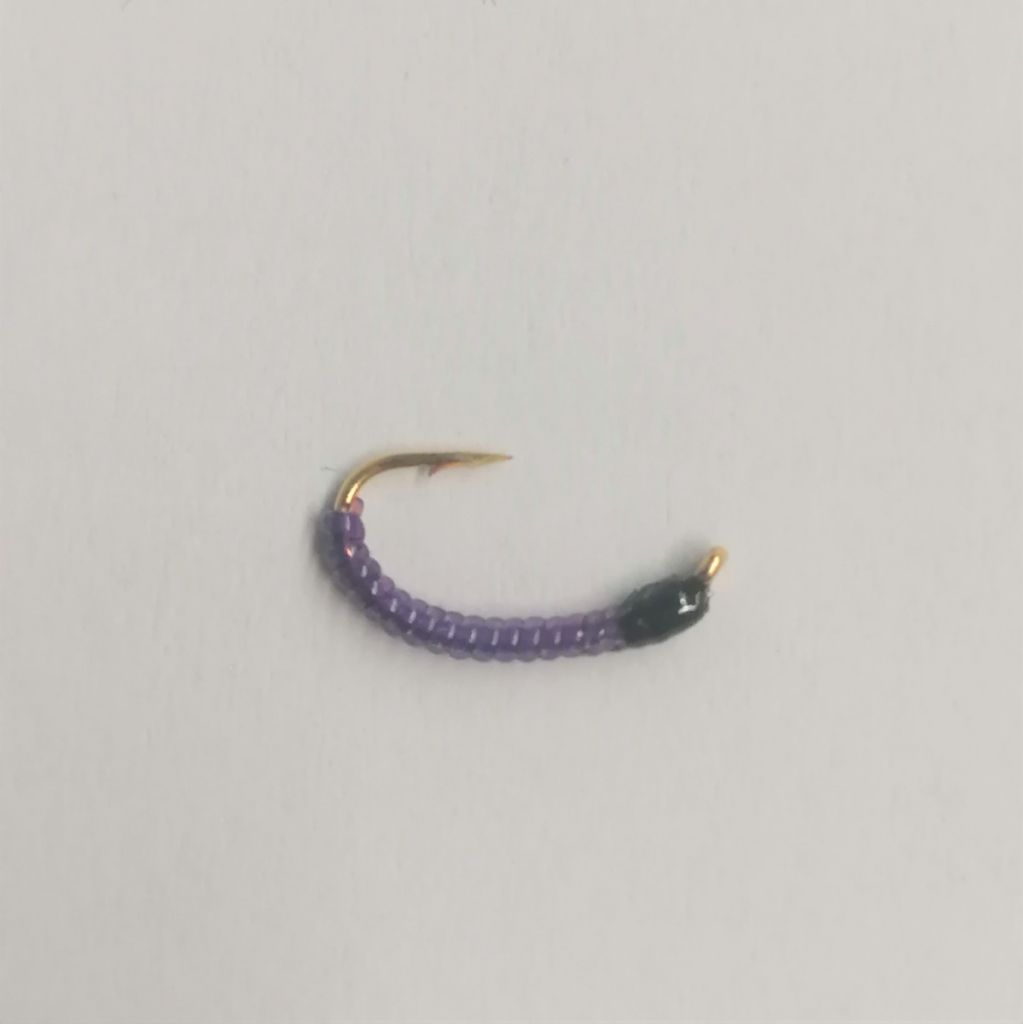 AMI COREGONE #14 - VIOLA