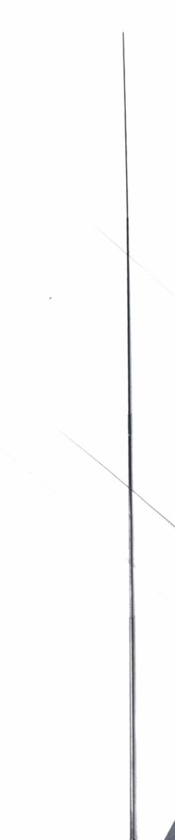 SHIMANO EXAGE 3.90 mt - CANNA FISSA DA VIAGGIO 