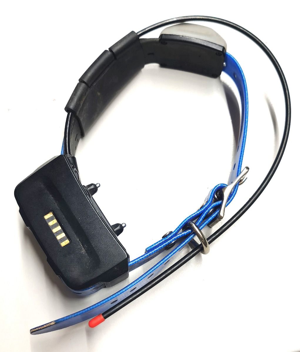 COLLARE BLU GARMIN KT 15x + CARICA BATTERIE  USATO