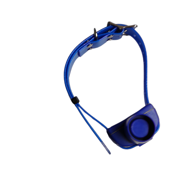 COLLARE AGGIUNTIVO CANIBEEP RADIO PRO USATO 