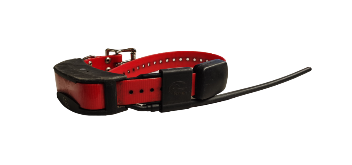 KIT PALMARE E COLLARE GPS - SPORTDOG TEK 2.0 USATO