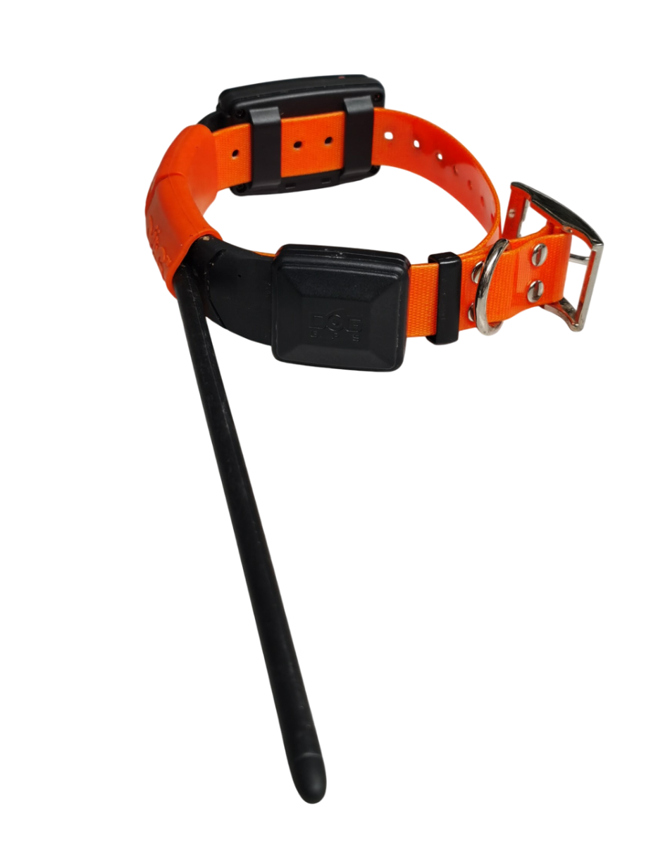 DOG TRACE X20+  COLLARE + GPS USATO