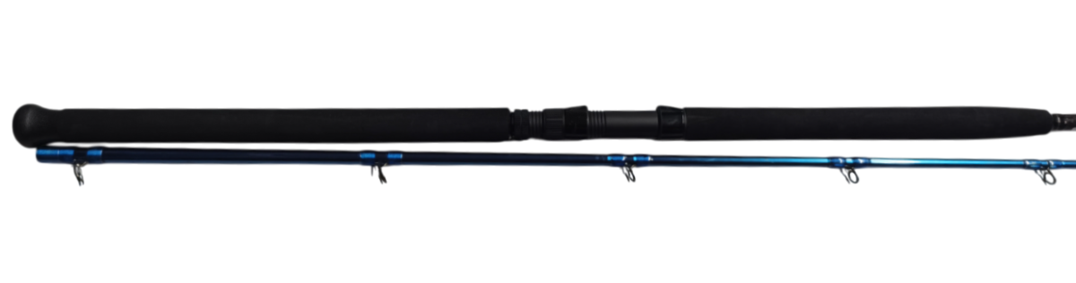 CANNA USATA SAVAGE GEAR SGS2 SHORE JIGGING 10'