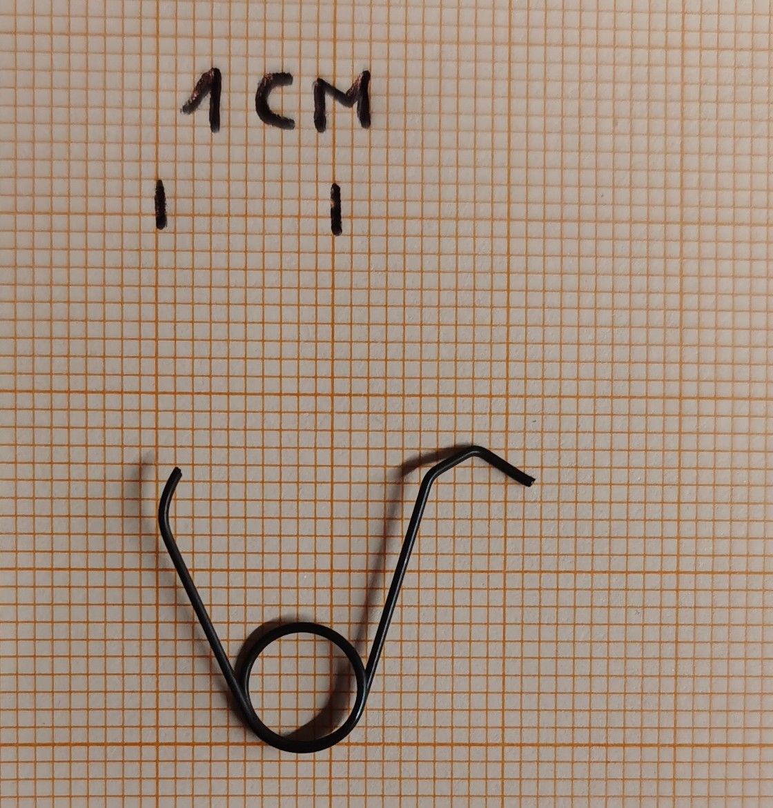 DIANA MOLLA GRUPPO SCATTO T06