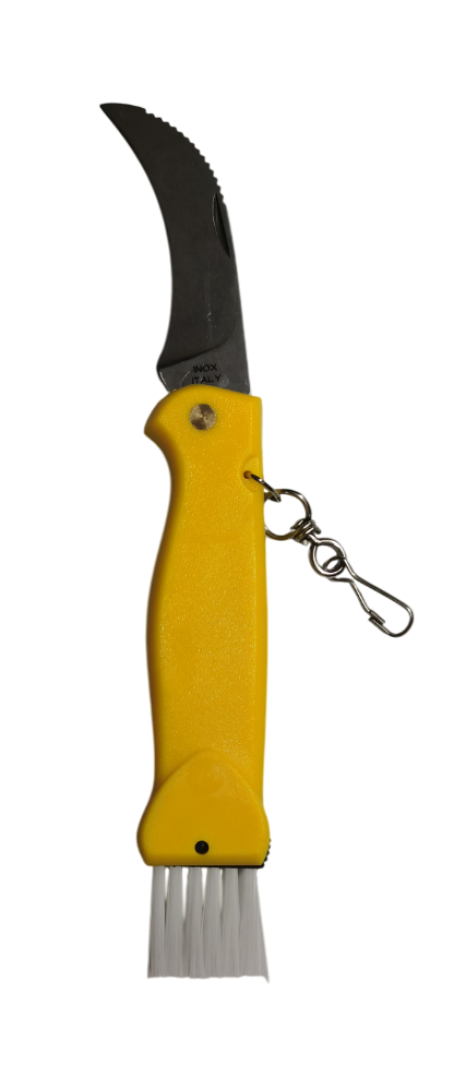 FOX COLTELLO DA FUNGHI CHIUDIBILE CON MANICO GIALLO - 406Y