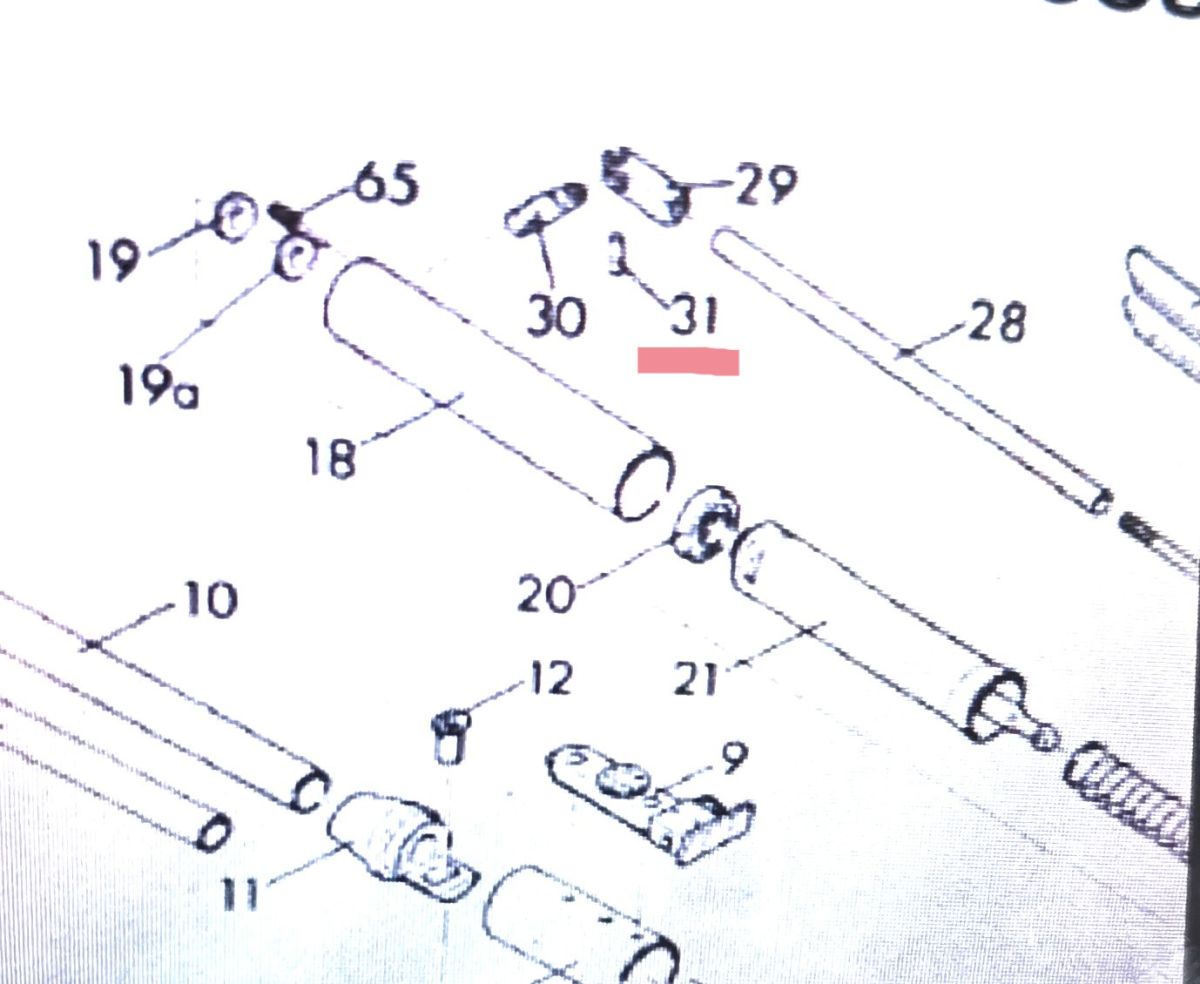 DIANA RICAMBIO 48 52 54 - C20368