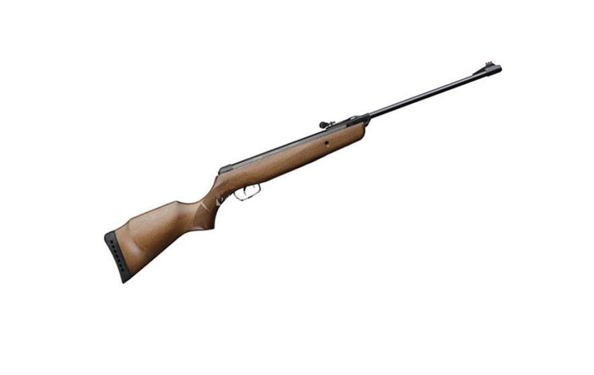 GAMO CARABINA A CANNA FISSA CFX - F - SAT - ROYAL