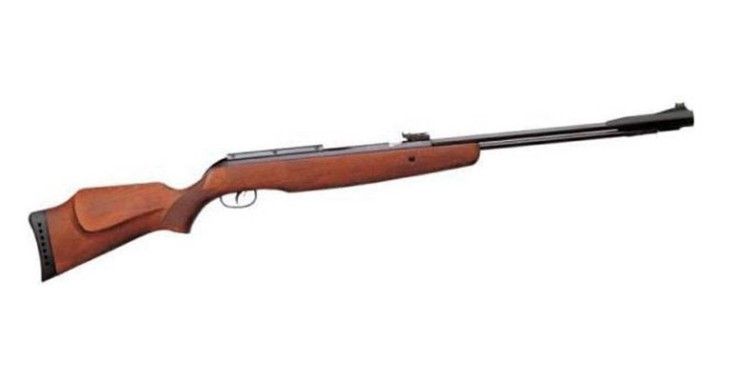 GAMO CARABINA A CANNA FISSA CFX - F - SAT - ROYAL