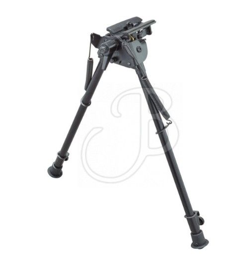 CHAMPION BIPIEDE A BASE MOBILE DA 23 A 33 CM 