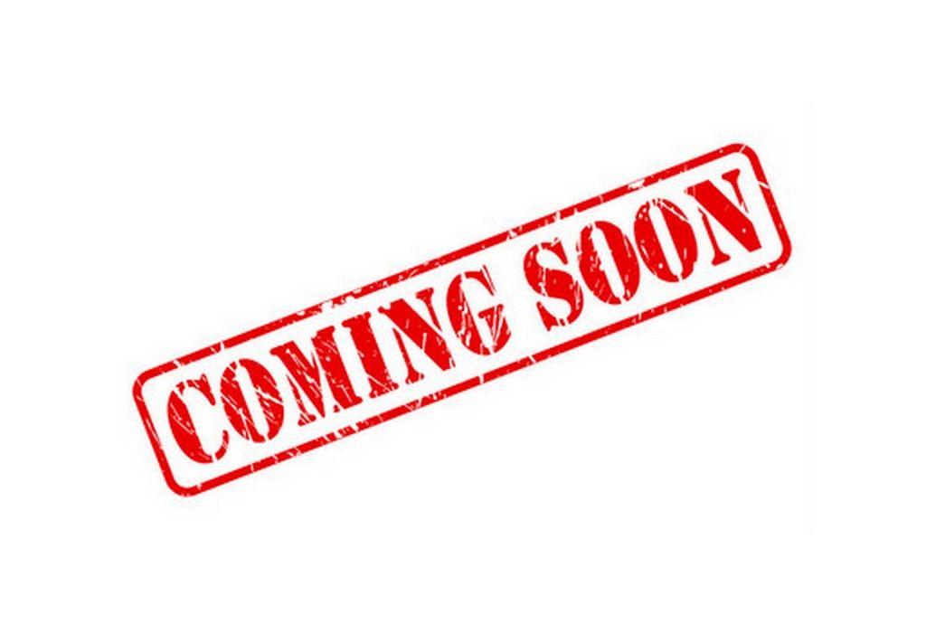 ABU GARCIA REVO ALX THETA 2000S SPINNING REEL TROUT AREA