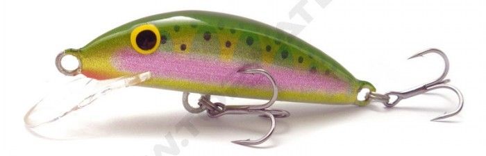 REAL WINNER | MINNOW SINKING 10CM - IRD