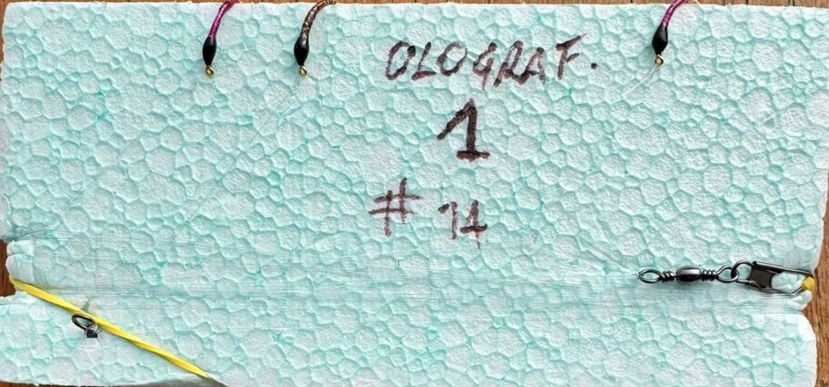 MONTATURA 10 AMI CON AMO DEL 14 - HOLOGRAFIC #1 