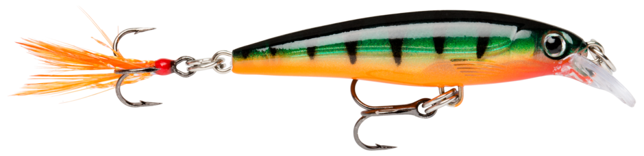 RAPALA XR 06 CM P