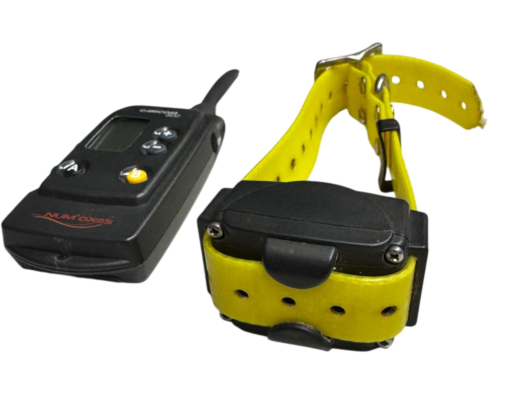 CANICOM 800 TELECOMANDO + 1 COLLARE USATO 