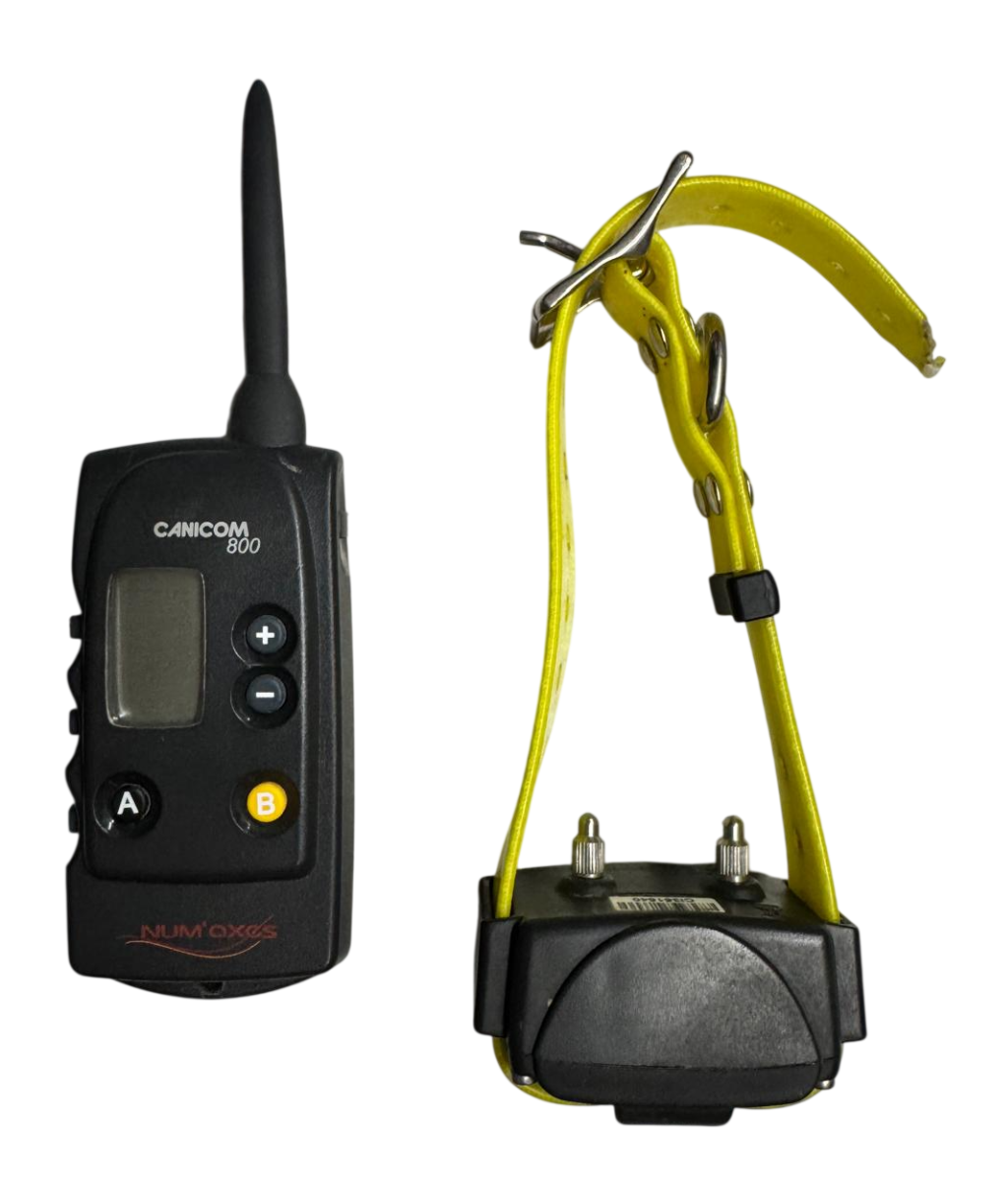 CANICOM 800 TELECOMANDO + 1 COLLARE USATO 