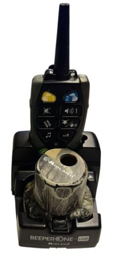 CANICOM BEEPERONE PRO CON TELECOMANDO USATO