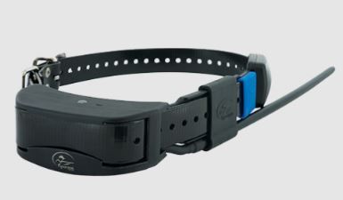 PROMOZIONE SU TEK 1.5 - PALMARE + COLLARE GPS + ADDESTRAMENTO