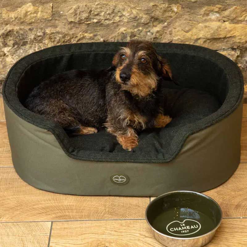 LE CHAMEAU LETTO PER CANI - VERT CHAMEAU GREEN