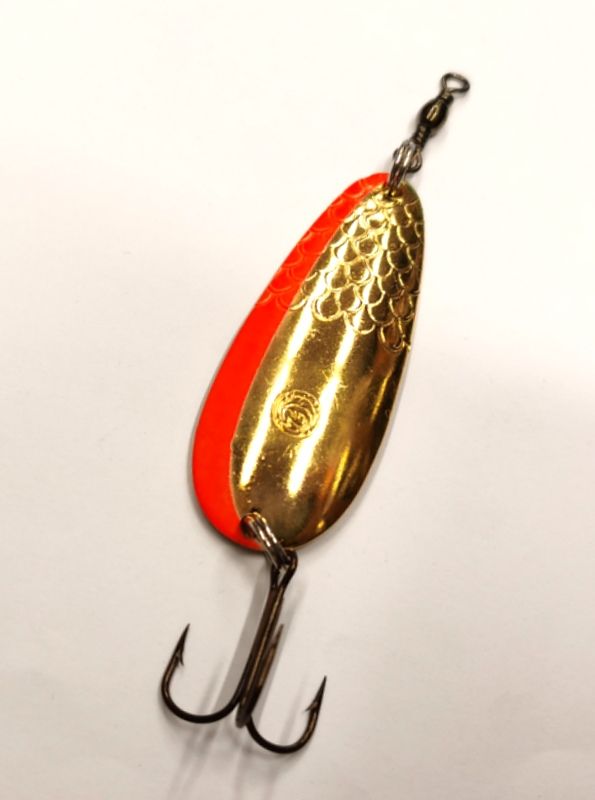 ARDITO SQUAMATO