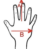 TRABALDO GUANTI GLADIUS - GREEN - S