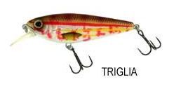 MOLIX BRUGAS R - #225 GHIOZZO