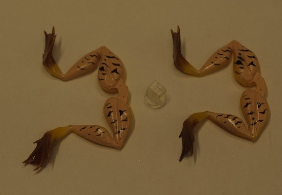 MOLIX FROG RICAMBIO COL 68