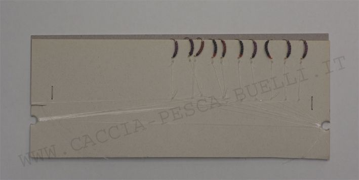 MONTATURE COREGONI CLASSICHE A 10 AMI - AMO:14 - MOD70