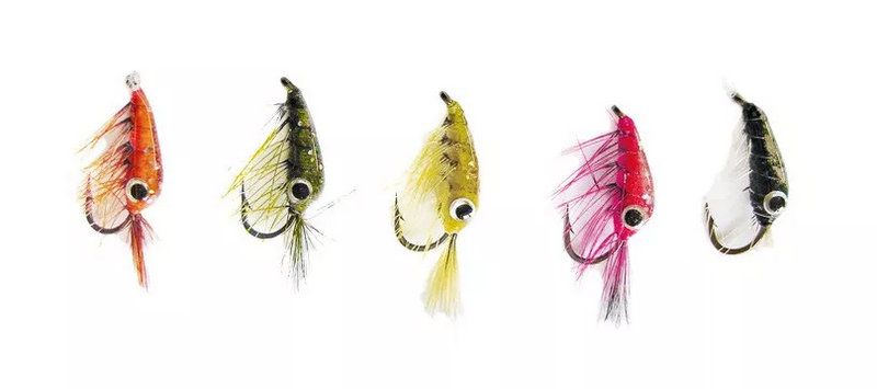 STUCKI MONTATURA - 5 AMI TIPO GAMBERETTO - EPOXY SHRIMP