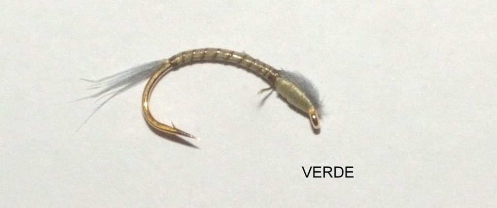 MOTION AMO COREGONE SZ= 12 - VERDE