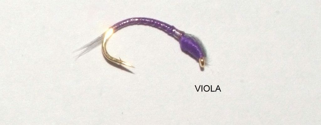 MOTION AMO COREGONE SZ=12 - VIOLA 